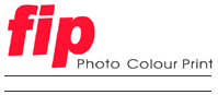 Fip-Logo
